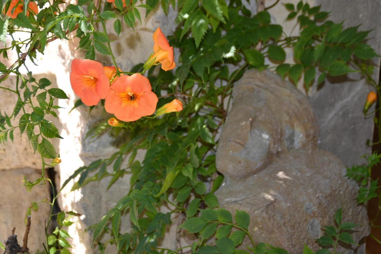 Holidays In Lagrasse Ngoại thất bức ảnh
