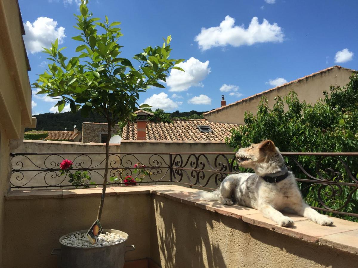Holidays In Lagrasse Ngoại thất bức ảnh