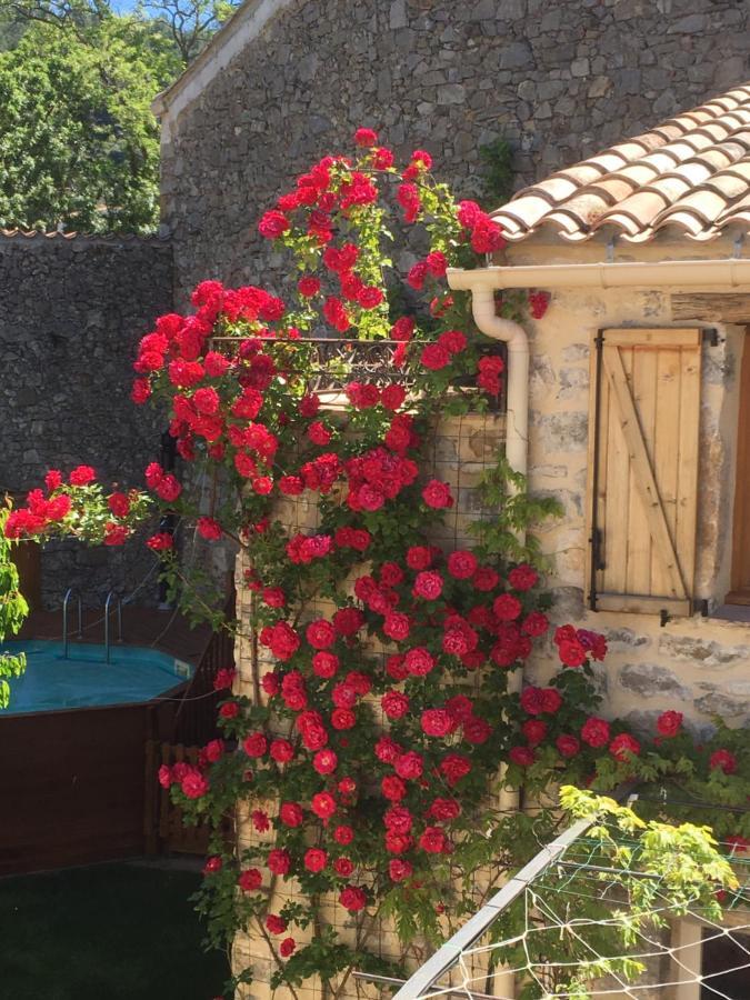 Holidays In Lagrasse Ngoại thất bức ảnh